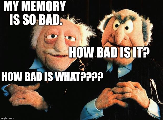 Old Man | MY MEMORY IS SO BAD. HOW BAD IS IT? HOW BAD IS WHAT???? | image tagged in old man | made w/ Imgflip meme maker