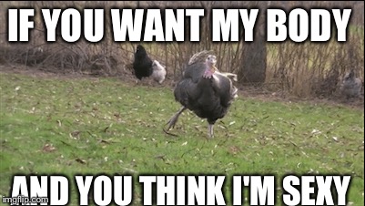 Gobble gobble  | IF YOU WANT MY BODY; AND YOU THINK I'M SEXY | image tagged in turkey | made w/ Imgflip meme maker