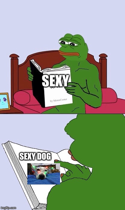 Blank Pepe Reasons to Live | SEXY; SEXY DOG | image tagged in blank pepe reasons to live | made w/ Imgflip meme maker