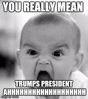 Angry Baby Meme | YOU REALLY MEAN; TRUMPS PRESIDENT AHHHHHHHHHHHHHHHHHHH | image tagged in memes,angry baby | made w/ Imgflip meme maker