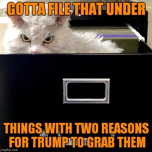 GOTTA FILE THAT UNDER THINGS WITH TWO REASONS FOR TRUMP TO GRAB THEM | image tagged in pompous lets file that under | made w/ Imgflip meme maker