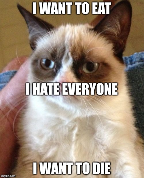Grumpy Cat Meme | I WANT TO EAT; I HATE EVERYONE; I WANT TO DIE | image tagged in memes,grumpy cat | made w/ Imgflip meme maker