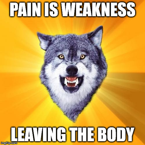 Courage Wolf Meme | PAIN IS WEAKNESS; LEAVING THE BODY | image tagged in memes,courage wolf | made w/ Imgflip meme maker