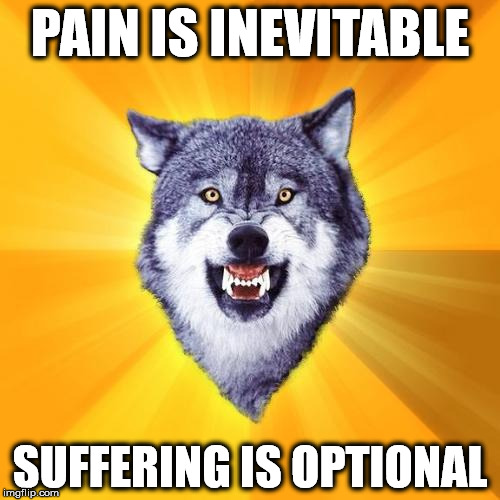 Courage Wolf | PAIN IS INEVITABLE; SUFFERING IS OPTIONAL | image tagged in memes,courage wolf | made w/ Imgflip meme maker