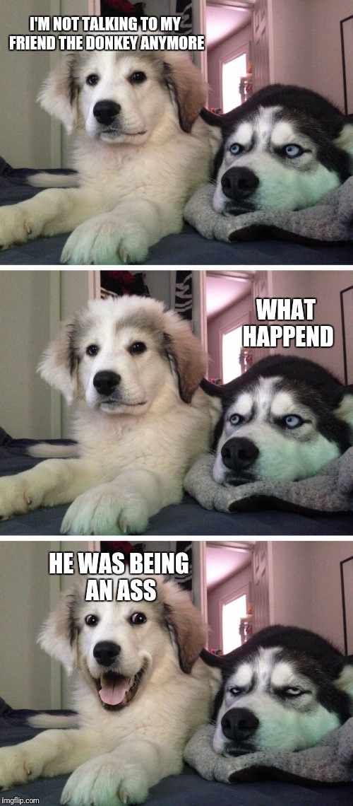 Bad pun dogs | I'M NOT TALKING TO MY FRIEND THE DONKEY ANYMORE; WHAT HAPPEND; HE WAS BEING AN ASS | image tagged in bad pun dogs | made w/ Imgflip meme maker