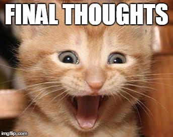 Excited Cat Meme | FINAL THOUGHTS | image tagged in memes,excited cat | made w/ Imgflip meme maker