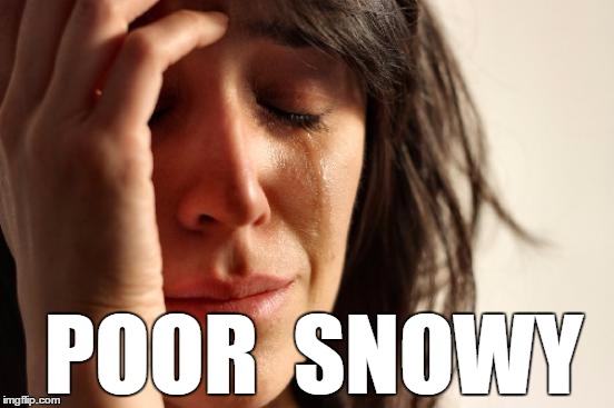 First World Problems Meme | POOR  SNOWY | image tagged in memes,first world problems | made w/ Imgflip meme maker