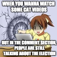 Anime wall punch | WHEN YOU WANNA WATCH SOME CAT VIDEOS; BUT IN THE COMMENT SECTION, PEOPLE ARE STILL TALKING ABOUT THE ELECTION | image tagged in anime wall punch | made w/ Imgflip meme maker