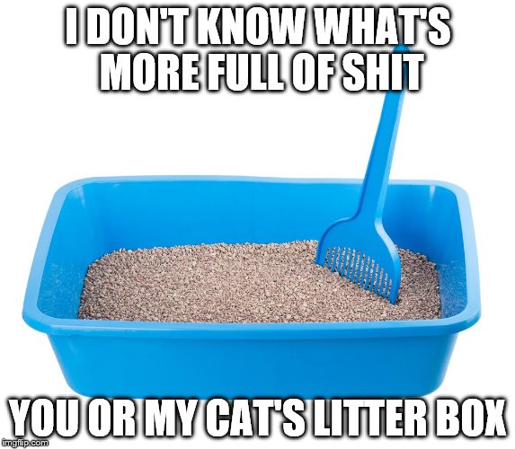 Litter box | I DON'T KNOW WHAT'S MORE FULL OF SHIT; YOU OR MY CAT'S LITTER BOX | image tagged in cat litter,memes,liar | made w/ Imgflip meme maker