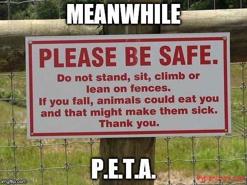 MEANWHILE; P.E.T.A. | image tagged in peta,funny | made w/ Imgflip meme maker