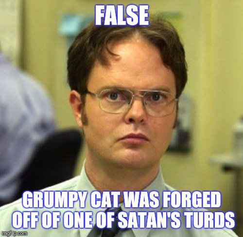 FALSE GRUMPY CAT WAS FORGED OFF OF ONE OF SATAN'S TURDS | made w/ Imgflip meme maker
