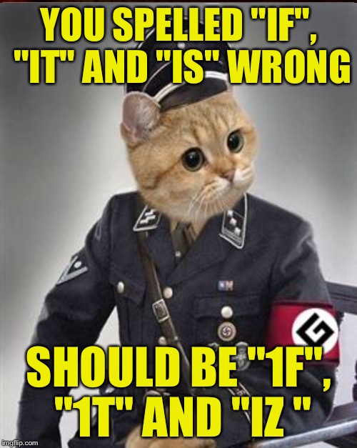 YOU SPELLED "IF", "IT" AND "IS" WRONG SHOULD BE "1F", "1T" AND "IZ " | made w/ Imgflip meme maker