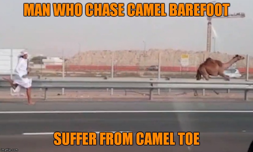 MAN WHO CHASE CAMEL BAREFOOT SUFFER FROM CAMEL TOE | made w/ Imgflip meme maker