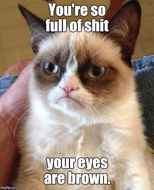 Grumpy Cat Meme | You're so full of shit your eyes are brown. | image tagged in memes,grumpy cat | made w/ Imgflip meme maker