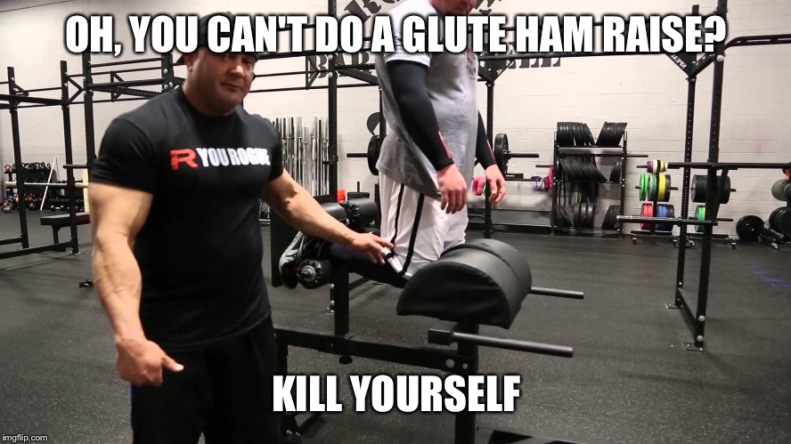 Glute ham raise  | OH, YOU CAN'T DO A GLUTE HAM RAISE? KILL YOURSELF | image tagged in glute ham raise | made w/ Imgflip meme maker