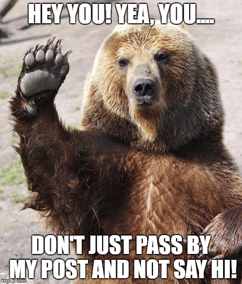 Hello bear | HEY YOU! YEA, YOU.... DON'T JUST PASS BY MY POST AND NOT SAY HI! | image tagged in hello bear | made w/ Imgflip meme maker