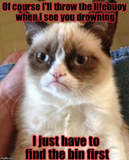 Grumpy Cat | Of course I'll throw the lifebuoy when I see you drowning; I just have to find the bin first | image tagged in memes,grumpy cat,drowning,lifebuoy | made w/ Imgflip meme maker
