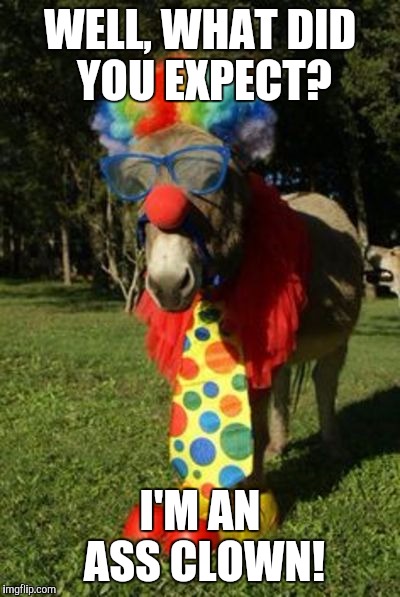 Ass clown | WELL, WHAT DID YOU EXPECT? I'M AN ASS CLOWN! | image tagged in ass clown | made w/ Imgflip meme maker