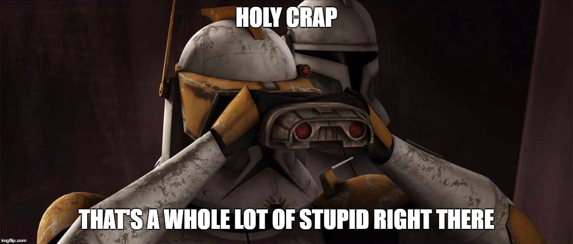 HOLY CRAP; THAT'S A WHOLE LOT OF STUPID RIGHT THERE | image tagged in clone wars,clone trooper,commander,cody | made w/ Imgflip meme maker