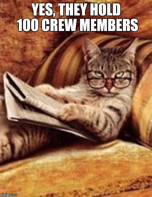 Newspaper cat | YES, THEY HOLD 100 CREW MEMBERS | image tagged in newspaper cat | made w/ Imgflip meme maker