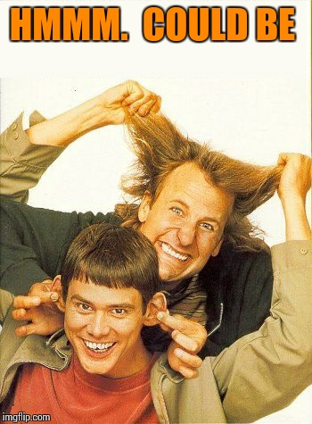 DUMB and dumber | HMMM.  COULD BE | image tagged in dumb and dumber | made w/ Imgflip meme maker