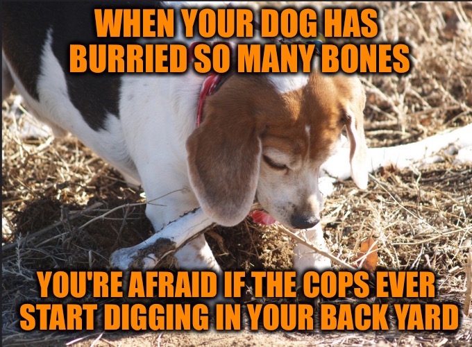 Bones in the back yard | WHEN YOUR DOG HAS BURRIED SO MANY BONES; YOU'RE AFRAID IF THE COPS EVER START DIGGING IN YOUR BACK YARD | image tagged in memes,dogs,animals | made w/ Imgflip meme maker