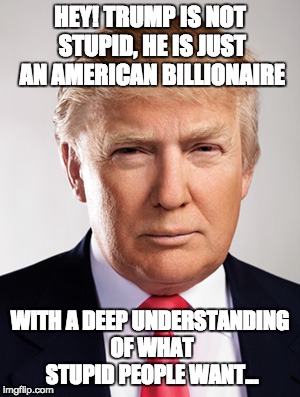 Donald Trump | HEY! TRUMP IS NOT STUPID, HE IS JUST AN AMERICAN BILLIONAIRE; WITH A DEEP UNDERSTANDING OF WHAT STUPID PEOPLE WANT... | image tagged in president,donald trump,trump,stupid people,america | made w/ Imgflip meme maker