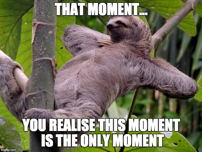 Samadhi Sloth | THAT MOMENT…; YOU REALISE THIS MOMENT IS THE ONLY MOMENT | image tagged in lazy sloth | made w/ Imgflip meme maker