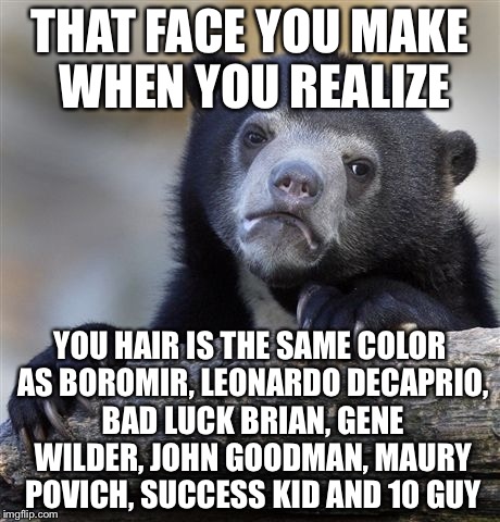 Confession Bear Meme | THAT FACE YOU MAKE WHEN YOU REALIZE; YOU HAIR IS THE SAME COLOR AS BOROMIR, LEONARDO DECAPRIO, BAD LUCK BRIAN, GENE WILDER, JOHN GOODMAN, MAURY POVICH, SUCCESS KID AND 10 GUY | image tagged in memes,confession bear | made w/ Imgflip meme maker