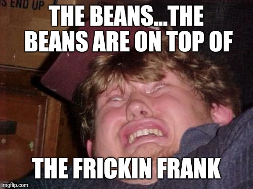 WTF | THE BEANS...THE BEANS ARE ON TOP OF; THE FRICKIN FRANK | image tagged in memes,wtf | made w/ Imgflip meme maker