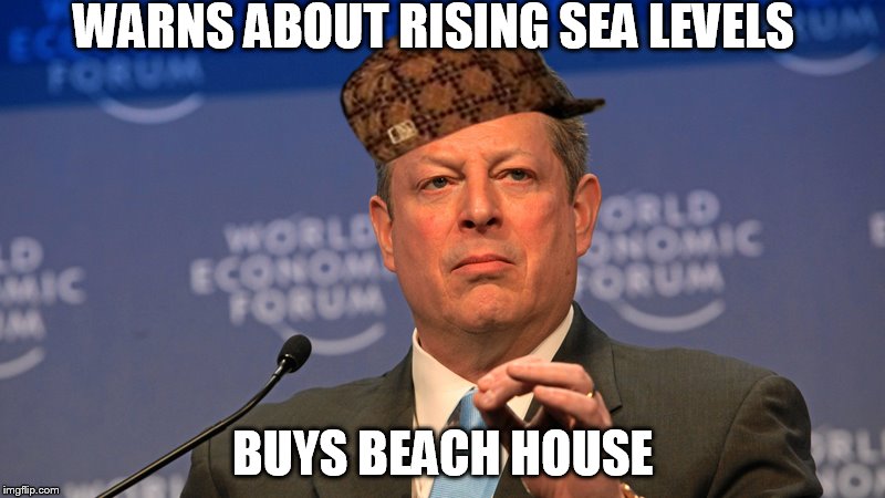 Al Gore | WARNS ABOUT RISING SEA LEVELS; BUYS BEACH HOUSE | image tagged in al gore,global warming,irony,science,climate change,march | made w/ Imgflip meme maker
