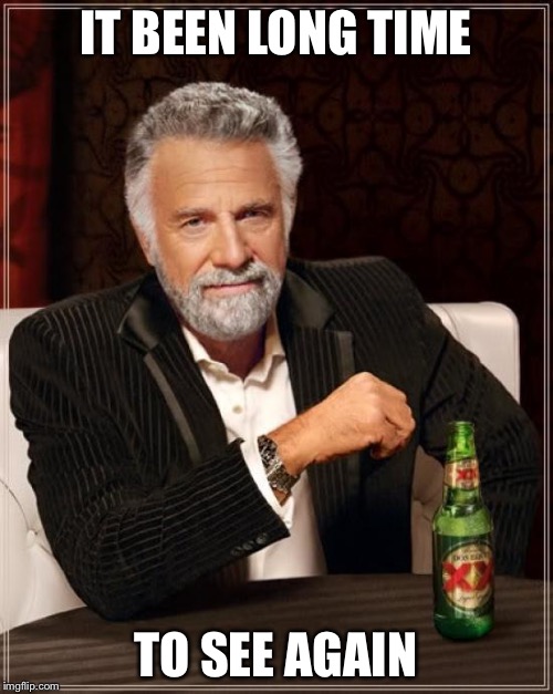 The Most Interesting Man In The World Meme | IT BEEN LONG TIME; TO SEE AGAIN | image tagged in memes,the most interesting man in the world | made w/ Imgflip meme maker