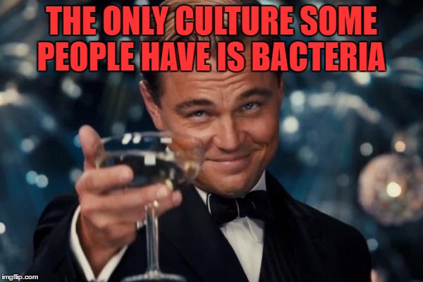 Leonardo Dicaprio Cheers Meme | THE ONLY CULTURE SOME PEOPLE HAVE IS BACTERIA | image tagged in memes,leonardo dicaprio cheers | made w/ Imgflip meme maker