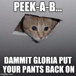 Ceiling Cat Meme | PEEK-A-B... DAMMIT GLORIA PUT YOUR PANTS BACK ON | image tagged in memes,ceiling cat | made w/ Imgflip meme maker