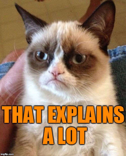 Grumpy Cat Meme | THAT EXPLAINS A LOT | image tagged in memes,grumpy cat | made w/ Imgflip meme maker