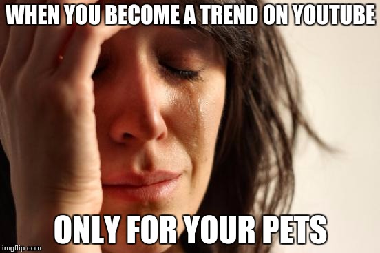First World Problems Meme | WHEN YOU BECOME A TREND ON YOUTUBE; ONLY FOR YOUR PETS | image tagged in memes,first world problems | made w/ Imgflip meme maker