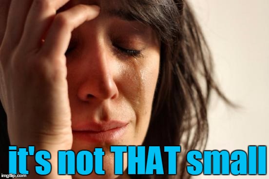 First World Problems Meme | it's not THAT small | image tagged in memes,first world problems | made w/ Imgflip meme maker