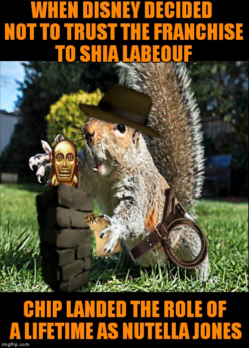 An idea I had while attempting to comment on DayRick's Squirrel meme :) | WHEN DISNEY DECIDED NOT TO TRUST THE FRANCHISE TO SHIA LABEOUF; CHIP LANDED THE ROLE OF A LIFETIME AS NUTELLA JONES | image tagged in indiana jones,chip and dale,disney,nutella,squirrels | made w/ Imgflip meme maker