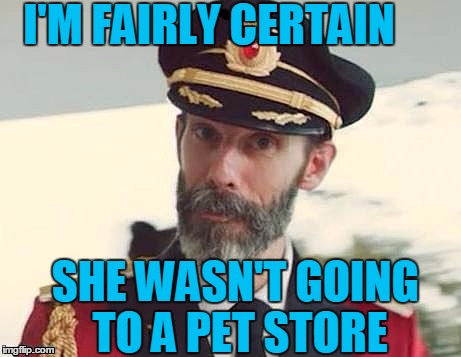 Captain Obvious | I'M FAIRLY CERTAIN SHE WASN'T GOING TO A PET STORE | image tagged in captain obvious | made w/ Imgflip meme maker