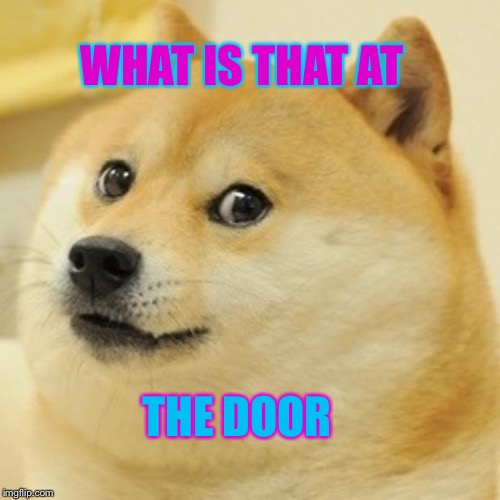 Doge Meme | WHAT IS THAT AT; THE DOOR | image tagged in memes,doge | made w/ Imgflip meme maker