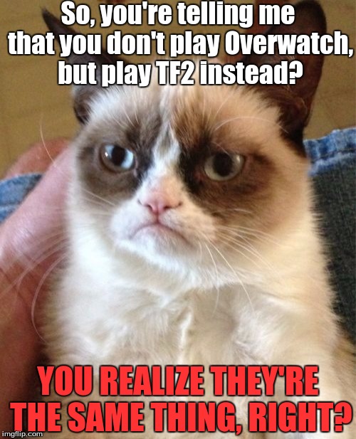 Grumpy Cat is Not Amused | So, you're telling me that you don't play Overwatch, but play TF2 instead? YOU REALIZE THEY'RE THE SAME THING, RIGHT? | image tagged in memes,grumpy cat,tf2,overwatch | made w/ Imgflip meme maker