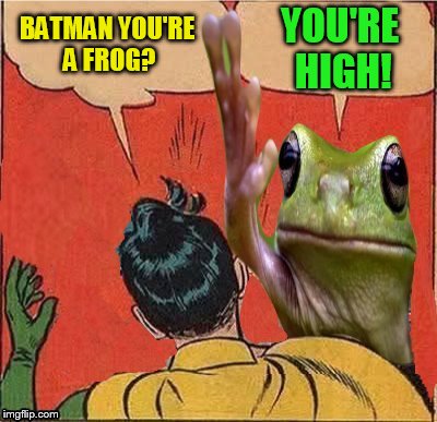 Frog Slapping Robin | YOU'RE HIGH! BATMAN YOU'RE A FROG? | image tagged in frog slapping robin,batman slapping robin,memes,frog,high,funny memes | made w/ Imgflip meme maker
