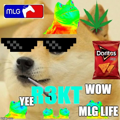 Doge Meme | WOW; YEE; MLG LIFE | image tagged in memes,doge | made w/ Imgflip meme maker