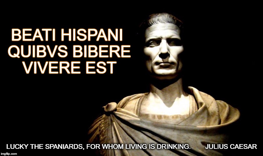 Caesar | BEATI HISPANI QUIBVS BIBERE VIVERE EST; LUCKY THE SPANIARDS, FOR WHOM LIVING IS DRINKING.        JULIUS CAESAR | image tagged in caesar | made w/ Imgflip meme maker