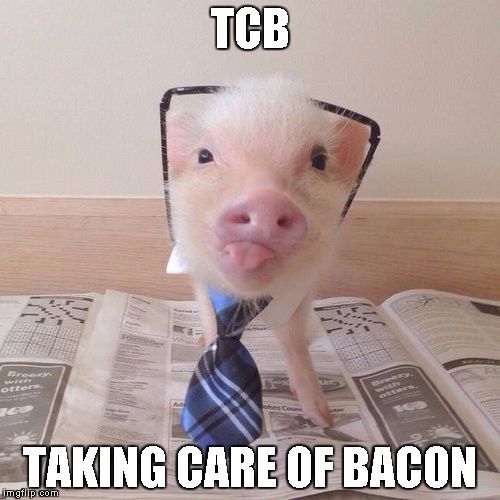 Business Pig | TCB; TAKING CARE OF BACON | image tagged in business pig | made w/ Imgflip meme maker