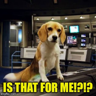 Captain Archer's Beagle Porthos | IS THAT FOR ME!?!? | image tagged in captain archer's beagle porthos | made w/ Imgflip meme maker