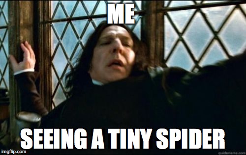 Snape Meme | ME; SEEING A TINY SPIDER | image tagged in memes,snape | made w/ Imgflip meme maker