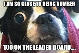 I AM SO CLOSE!!!!!!!!!!!!!!!!!!!!!!!!!!!!!!!
HELP ME GET THERE! | I AM SO CLOSE TO BEING NUMBER; 100 ON THE LEADER BOARD.... | image tagged in eyes wide open terrier | made w/ Imgflip meme maker