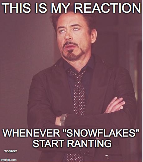 Face You Make Robert Downey Jr Meme | THIS IS MY REACTION; WHENEVER "SNOWFLAKES" START RANTING; TIGERCAT | image tagged in memes,face you make robert downey jr | made w/ Imgflip meme maker