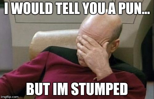 Captain Picard Facepalm Meme | I WOULD TELL YOU A PUN... BUT IM STUMPED | image tagged in memes,captain picard facepalm | made w/ Imgflip meme maker